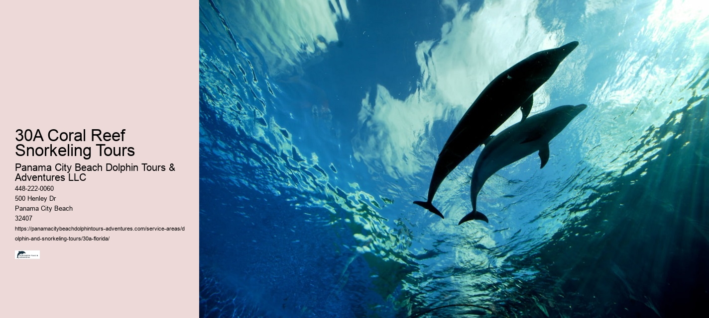 Coral Reef Exploration Trips