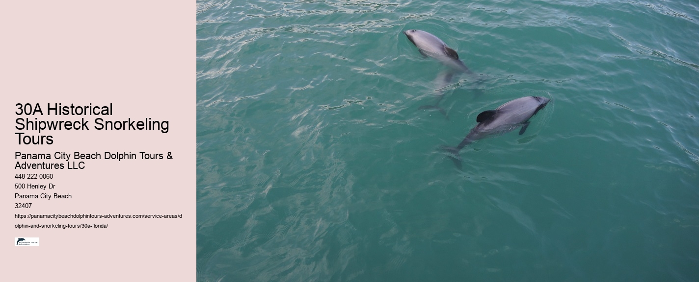 Dolphin and Snorkeling Tours In Panama City Beach