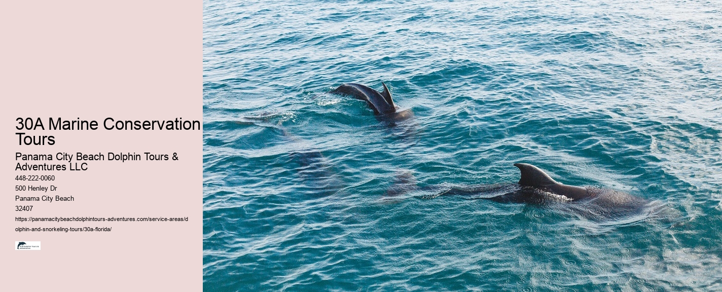 Snorkeling Excursion Trip