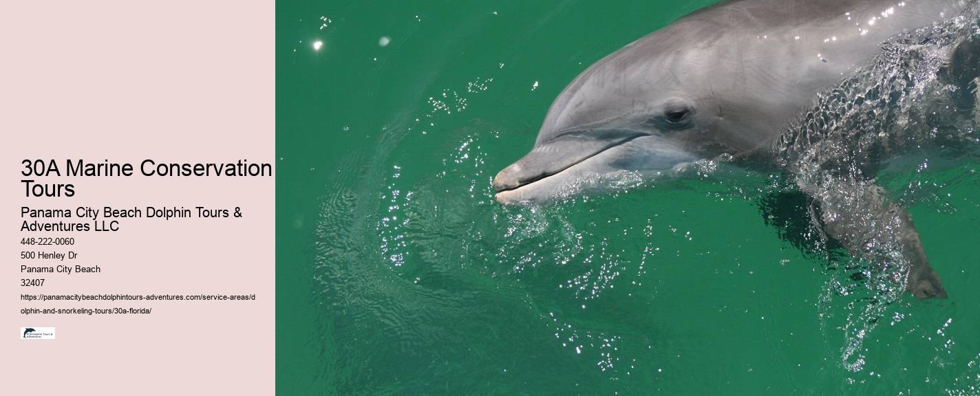 30A Marine Conservation Tours