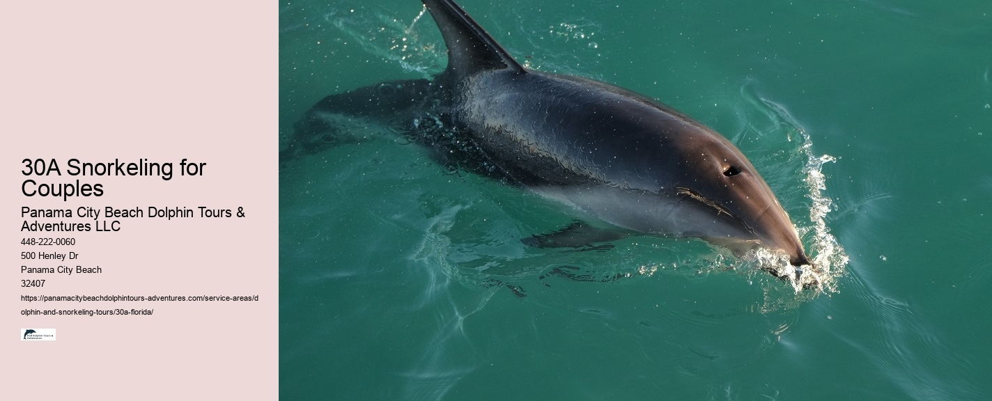 What marine life can I expect to see during a snorkeling tour in 30A