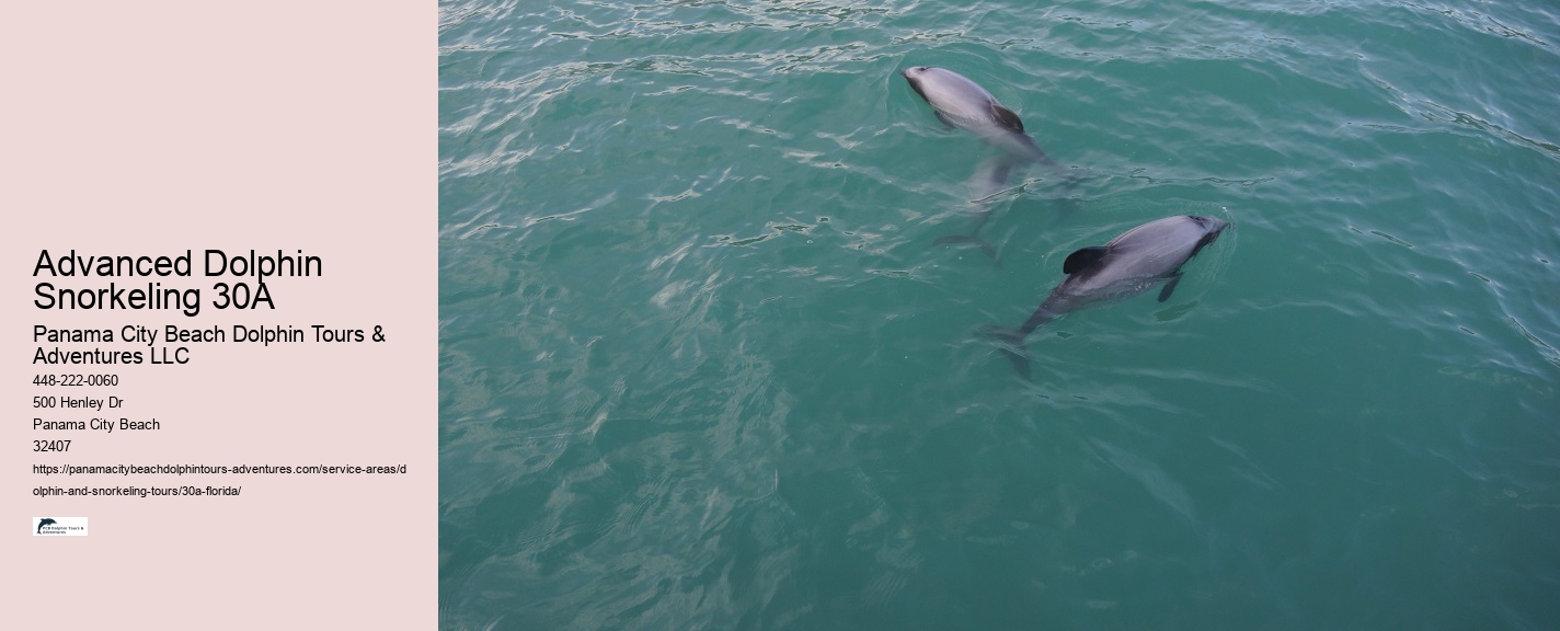 Pcb Dolphin Tours