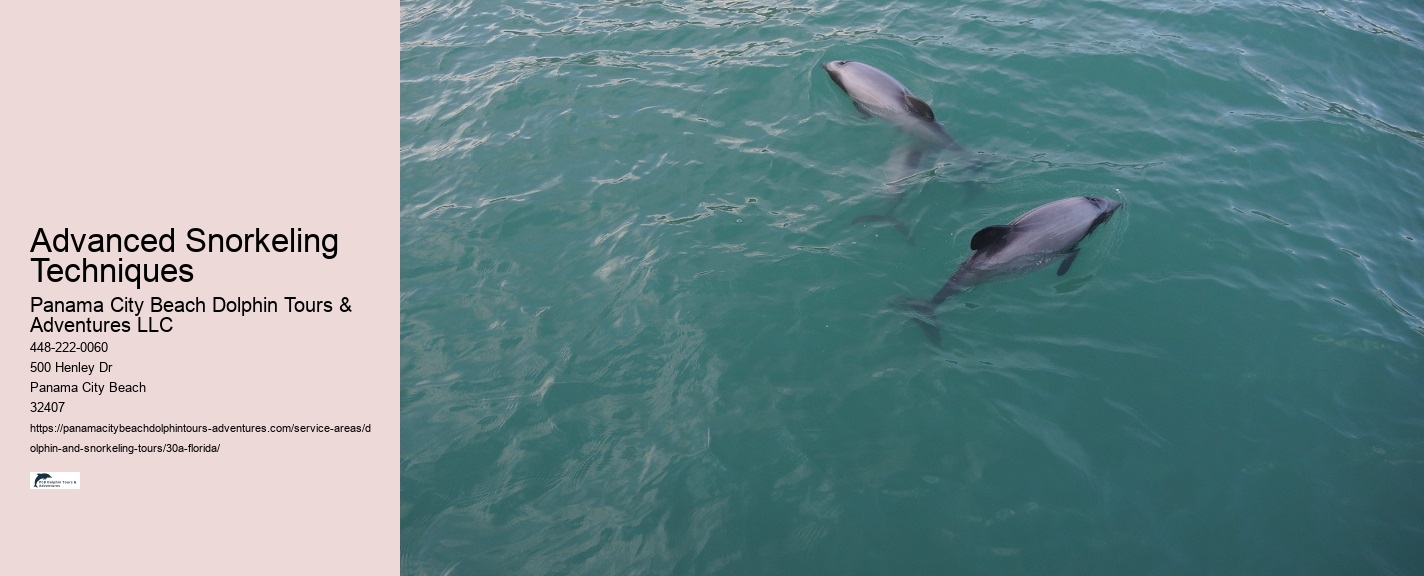 Snorkeling Tours 30a Florida