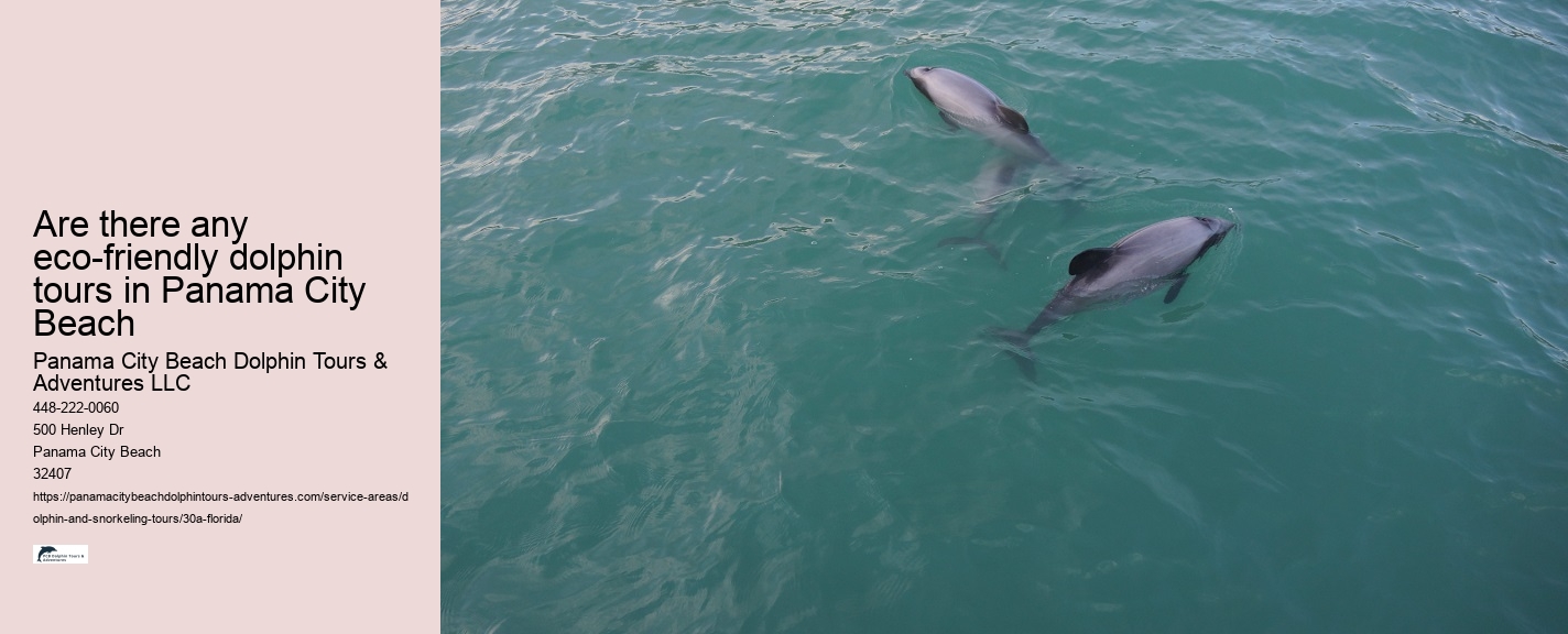 Eco-Friendly Dolphin Watching 30A