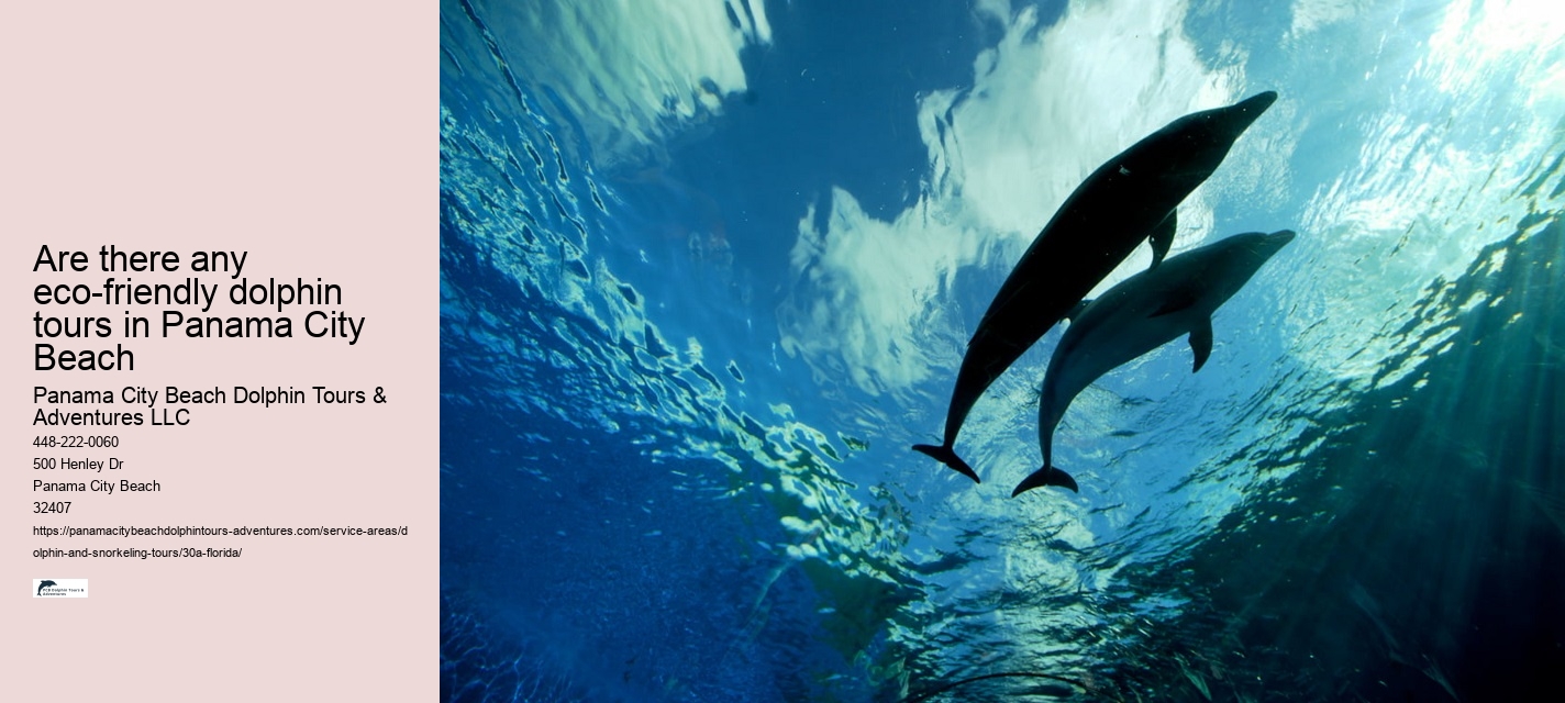 30A Dolphin and Snorkeling Tours