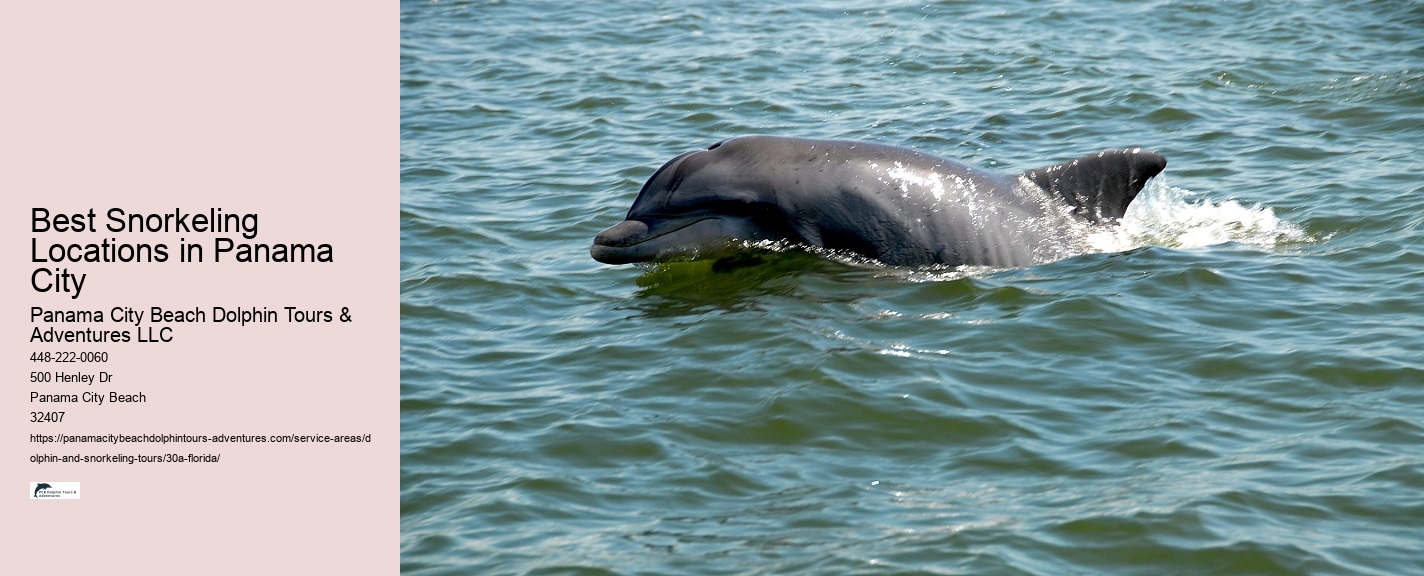 Dolphin Cruise 30a