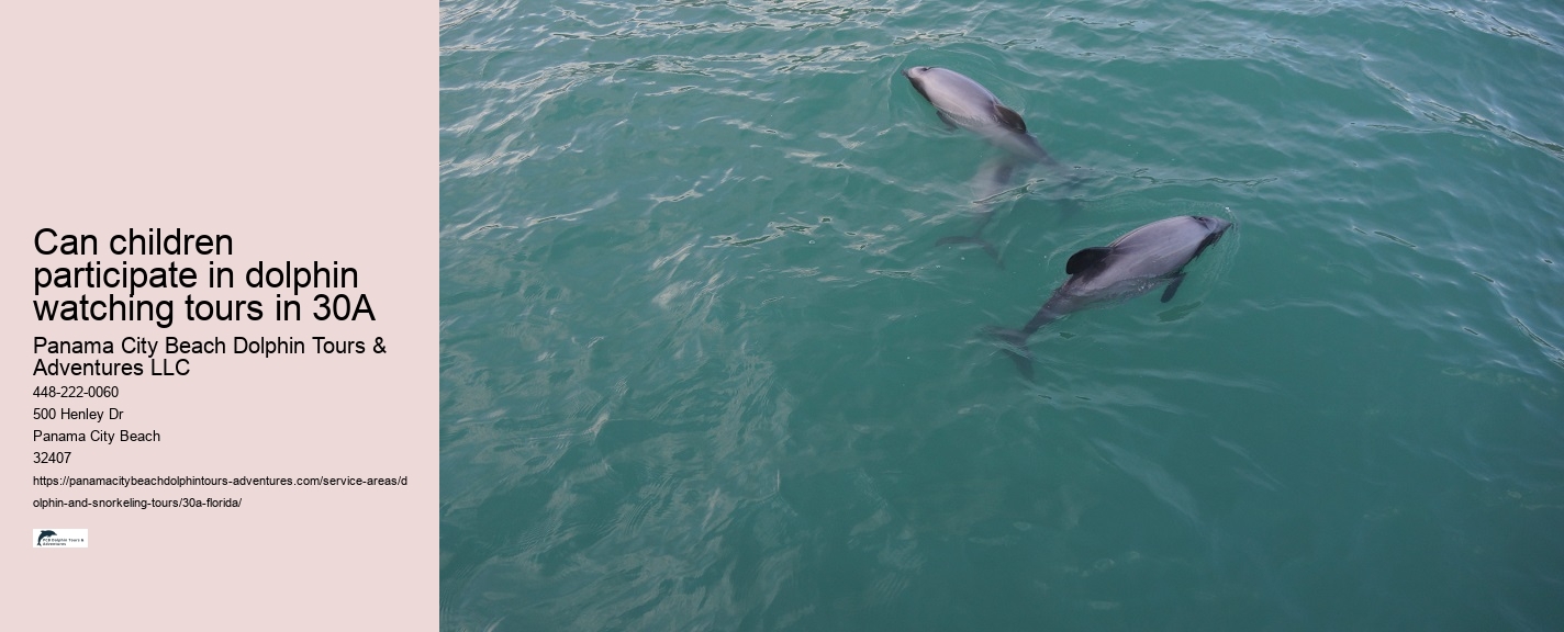 Dolphin Tours Pcb