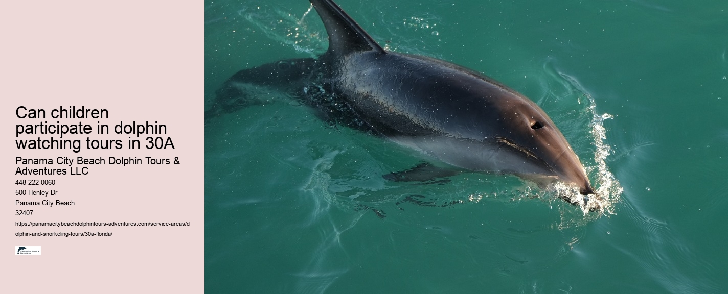 Can you swim with dolphins in 30A