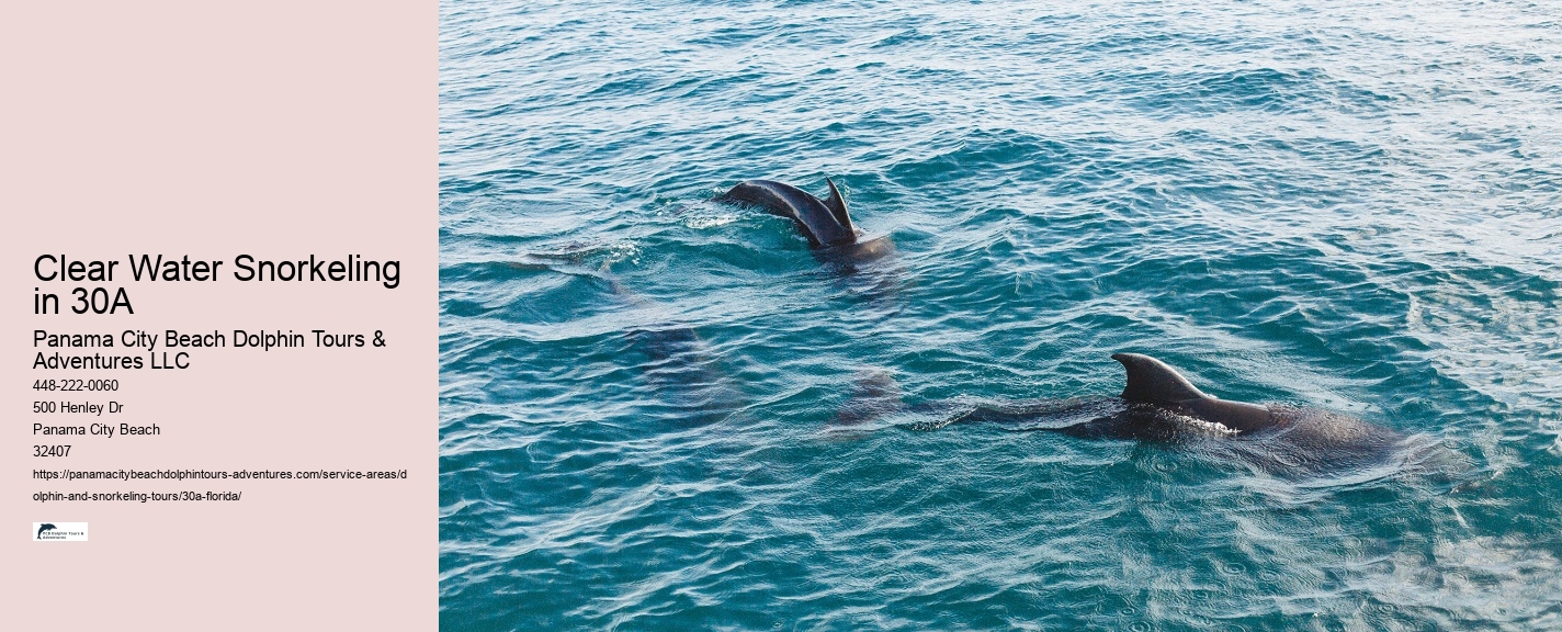 Marine Biology Educational Tours