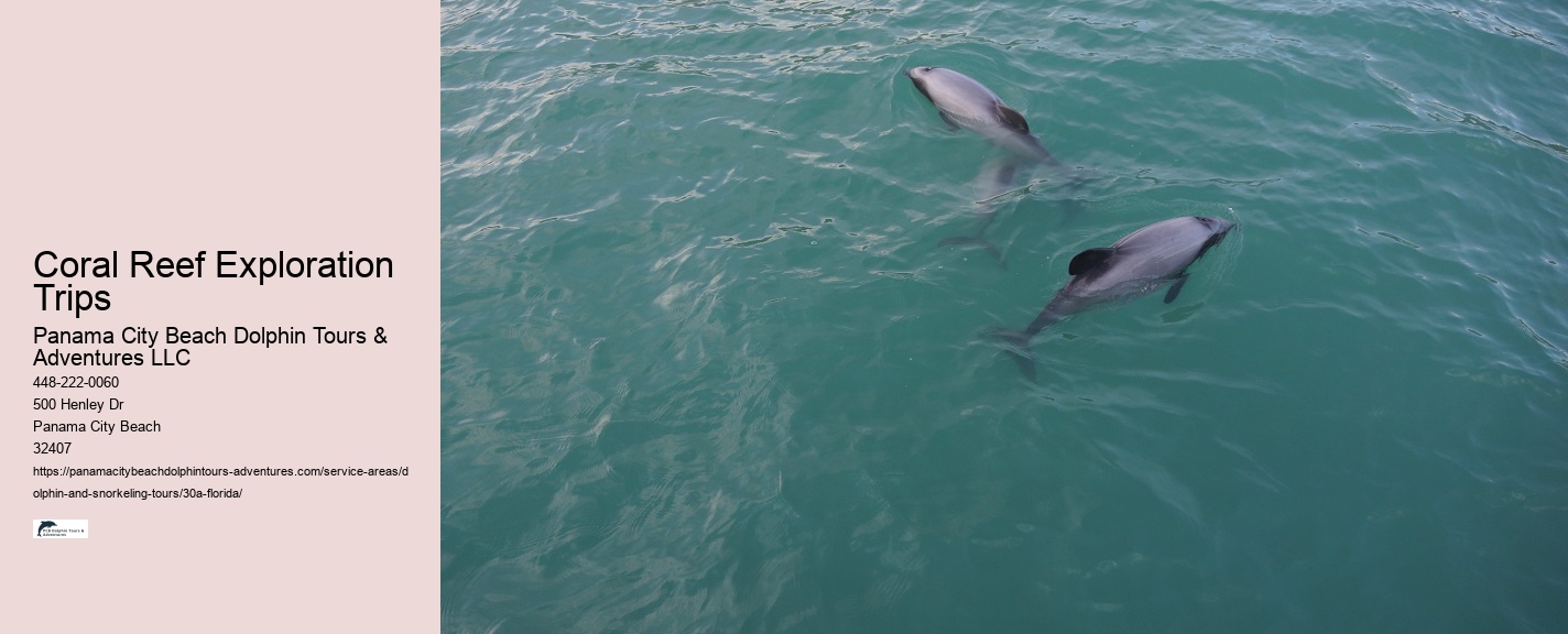 Boy On A Dolphin Watch Online