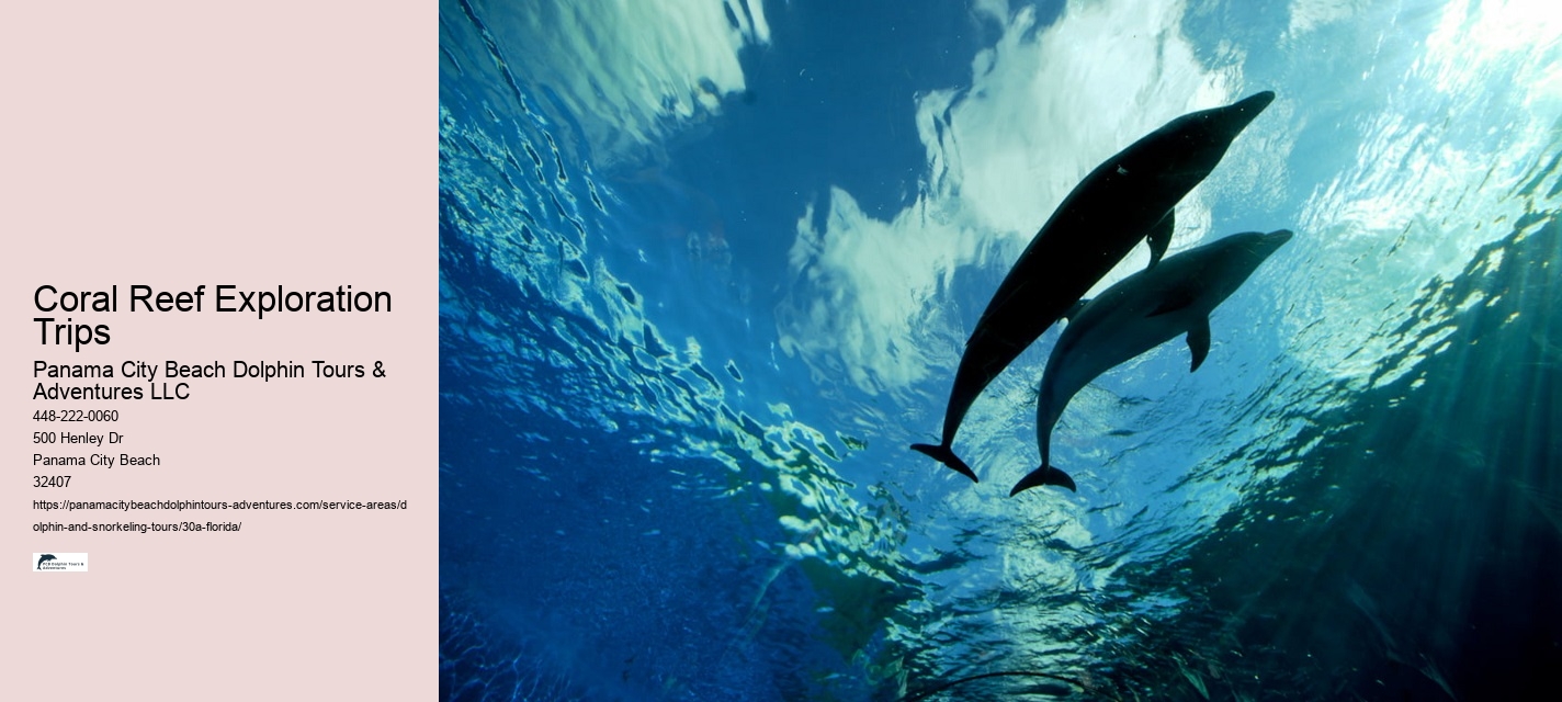 Blue Dolphin