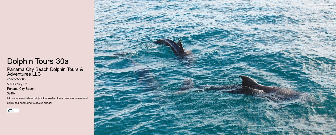 Customizable Dolphin Tours