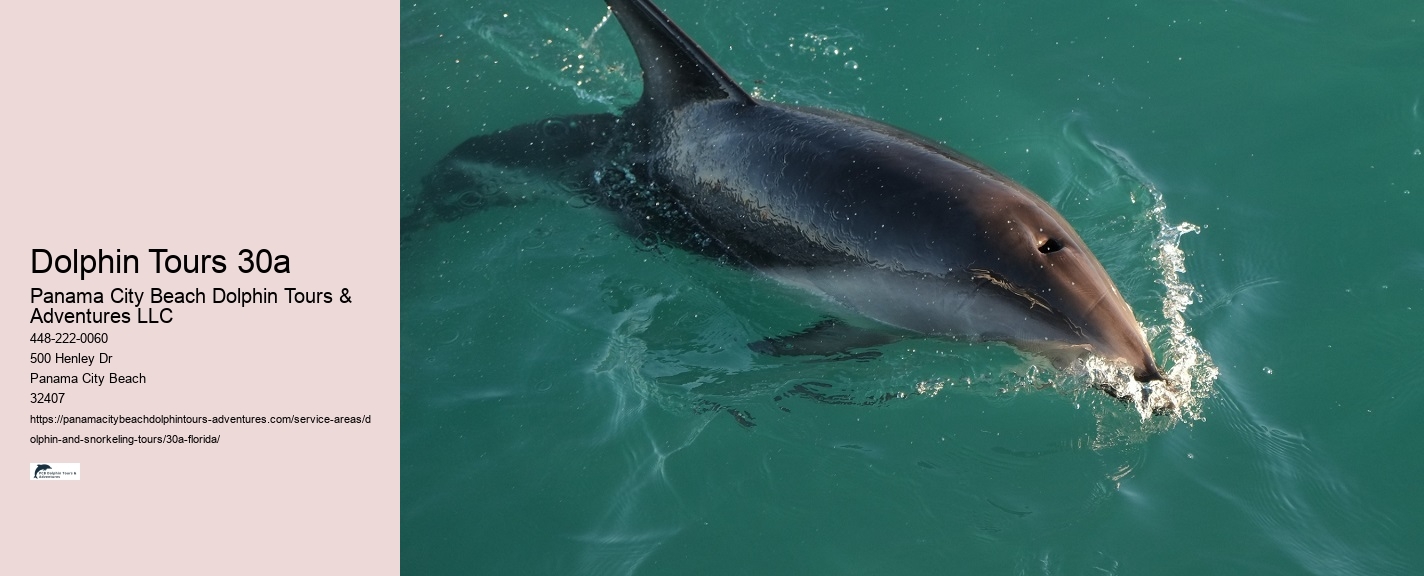 Submarine Dolphin Watch