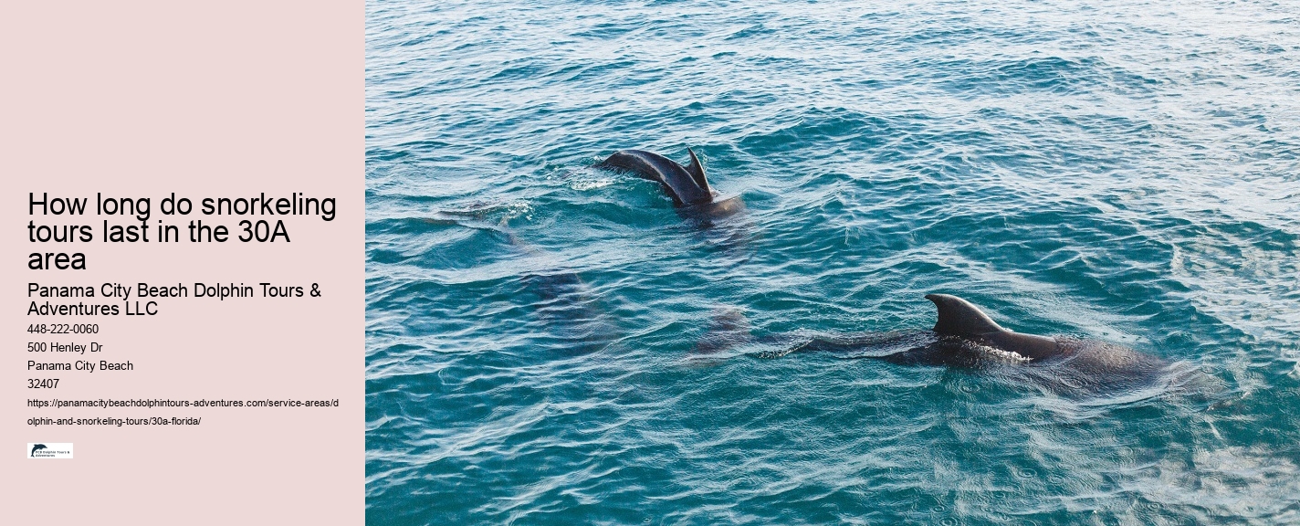 Where To Watch A Dolphin Tale