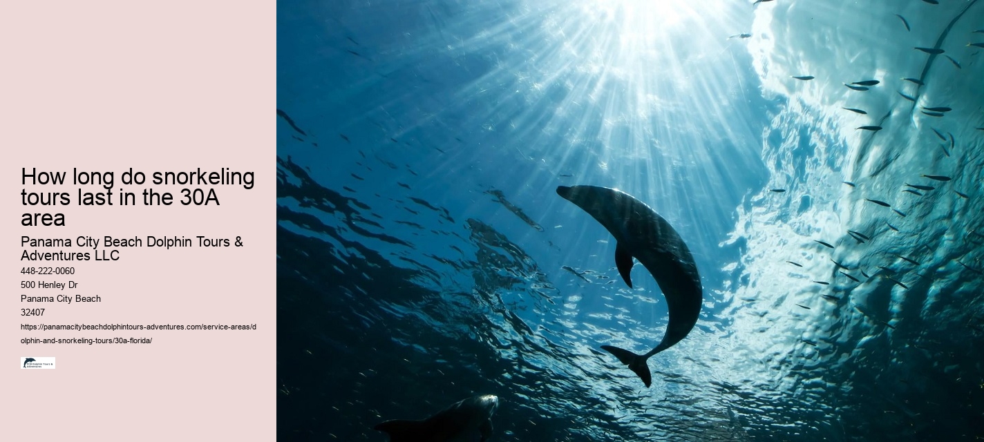Salty Fins Dolphin and Snorkeling Tours