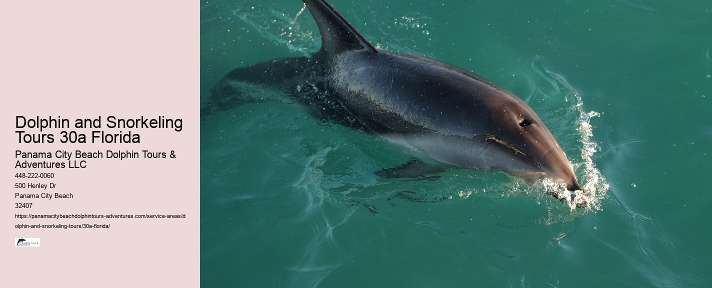 Do dolphins like swimming with humans