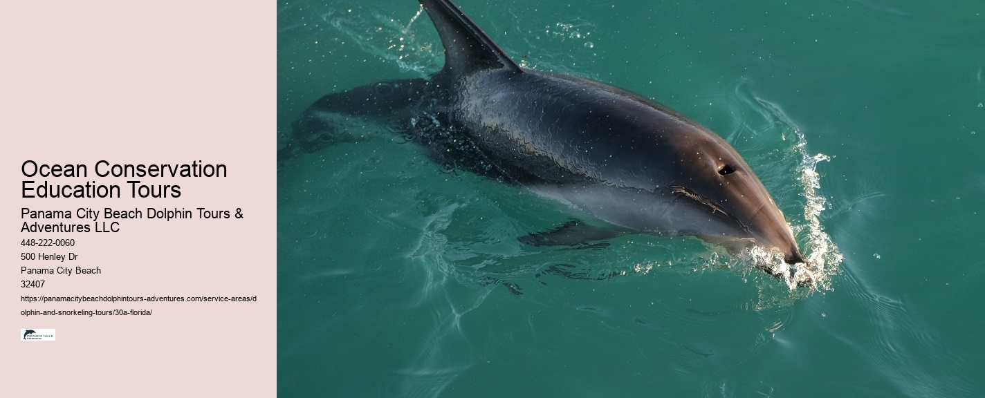Dolphin Watches Near Me