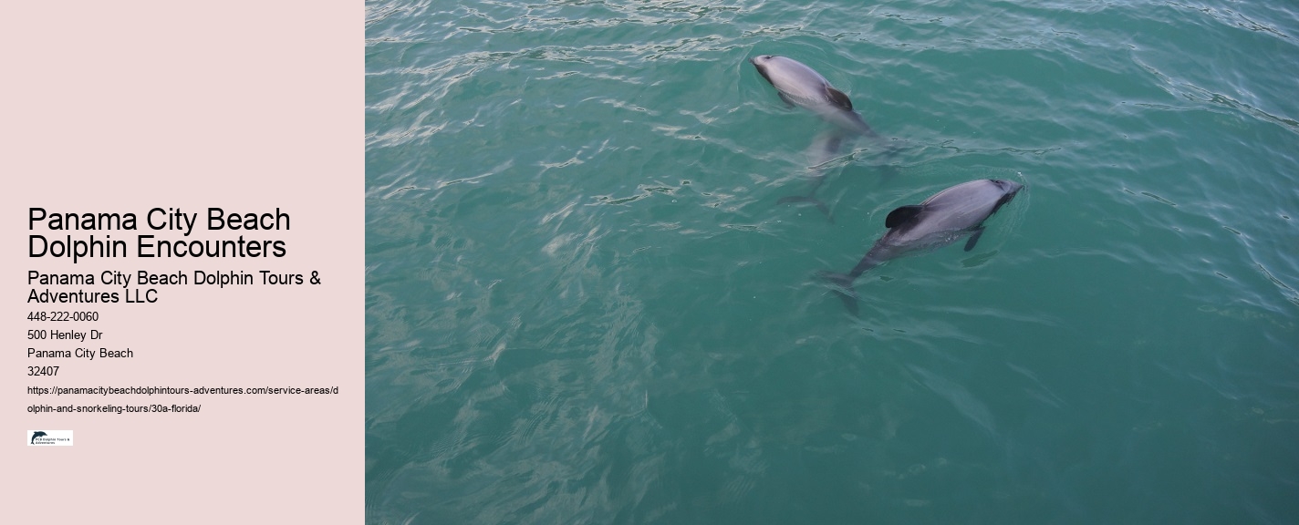 Top 5 Snorkeling Destinations In The World