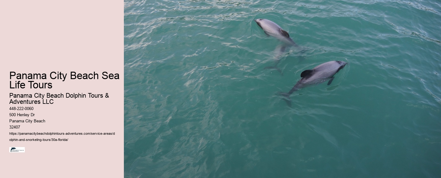 Private Charter Snorkeling