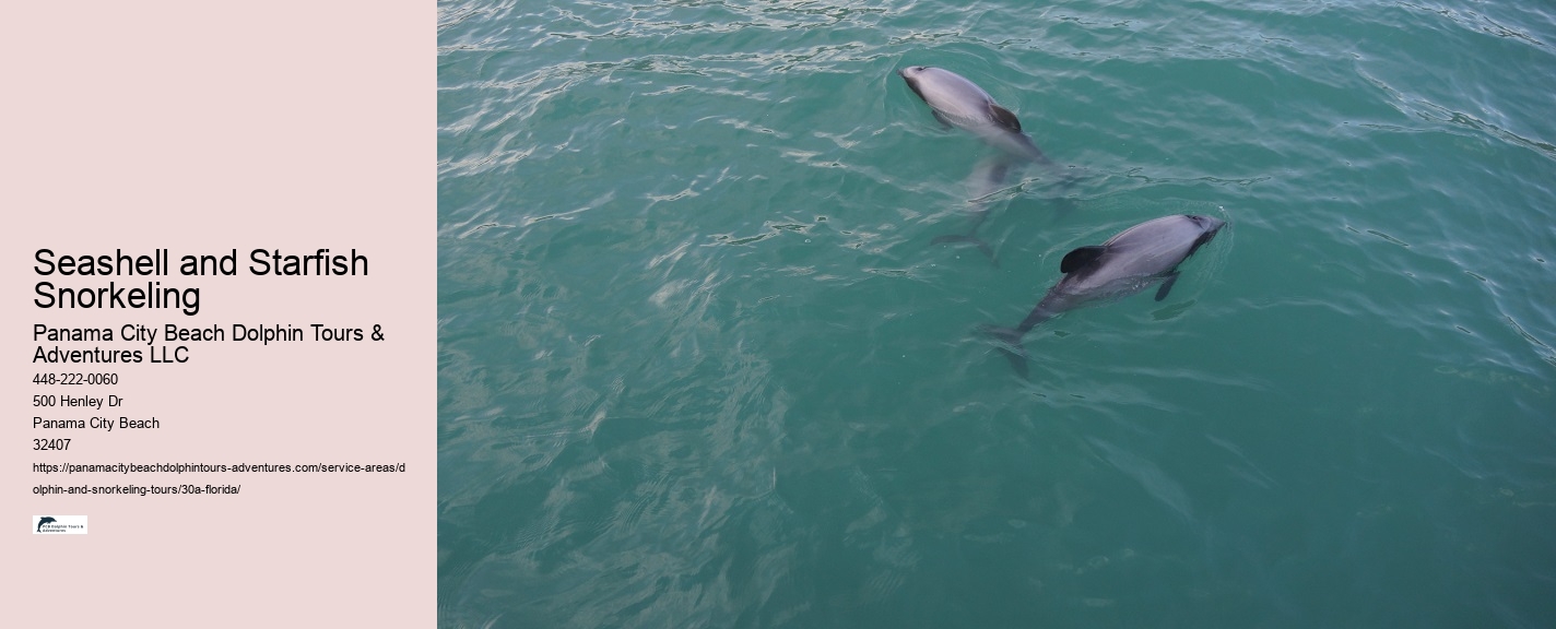 What Is Considered 30a In Florida