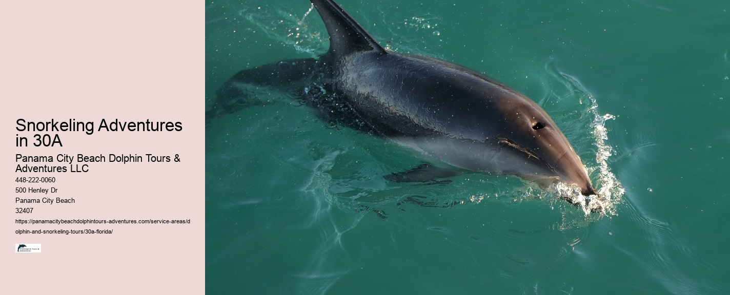 Snorkeling Tours Near Me