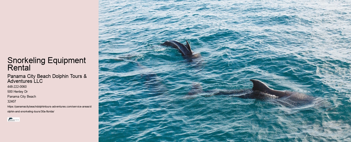 Can you swim with dolphins in Destin