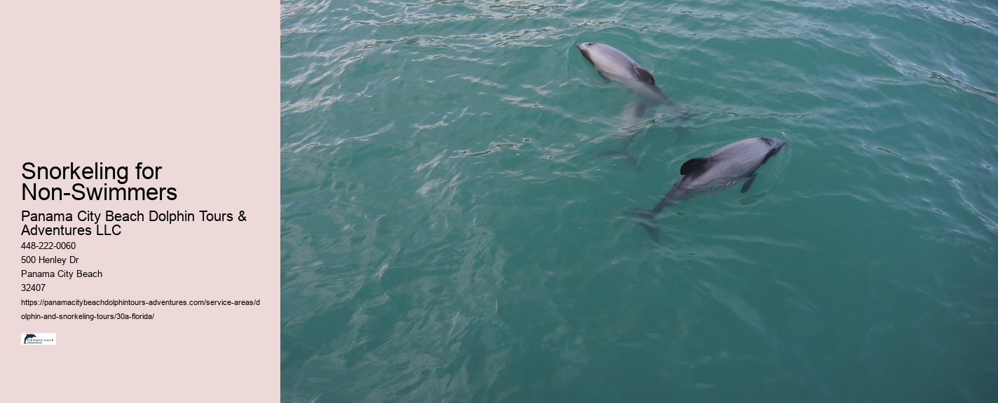 Can Dolphin Be A Pet