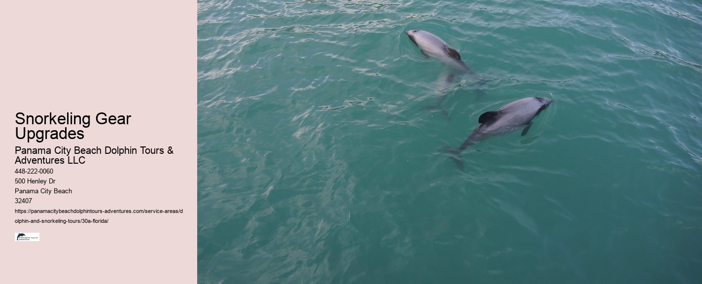 Dolphin Tours 30a