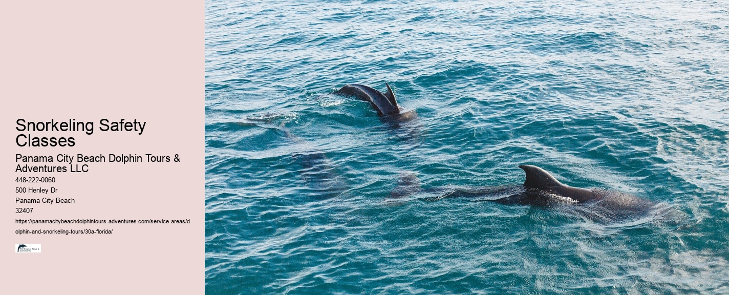 Full Moon Snorkeling Tours 30A