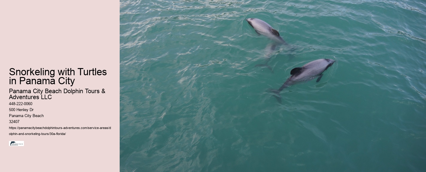 30a Florida