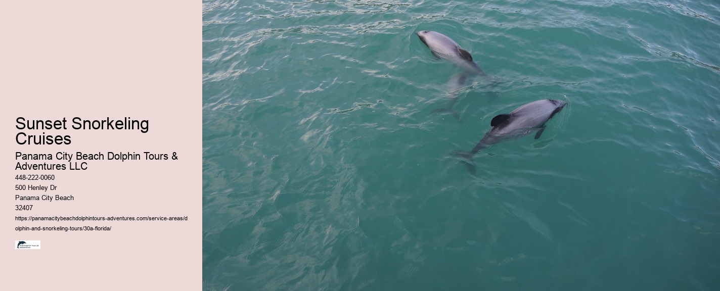 Dolphin and Snorkeling Tours Florida