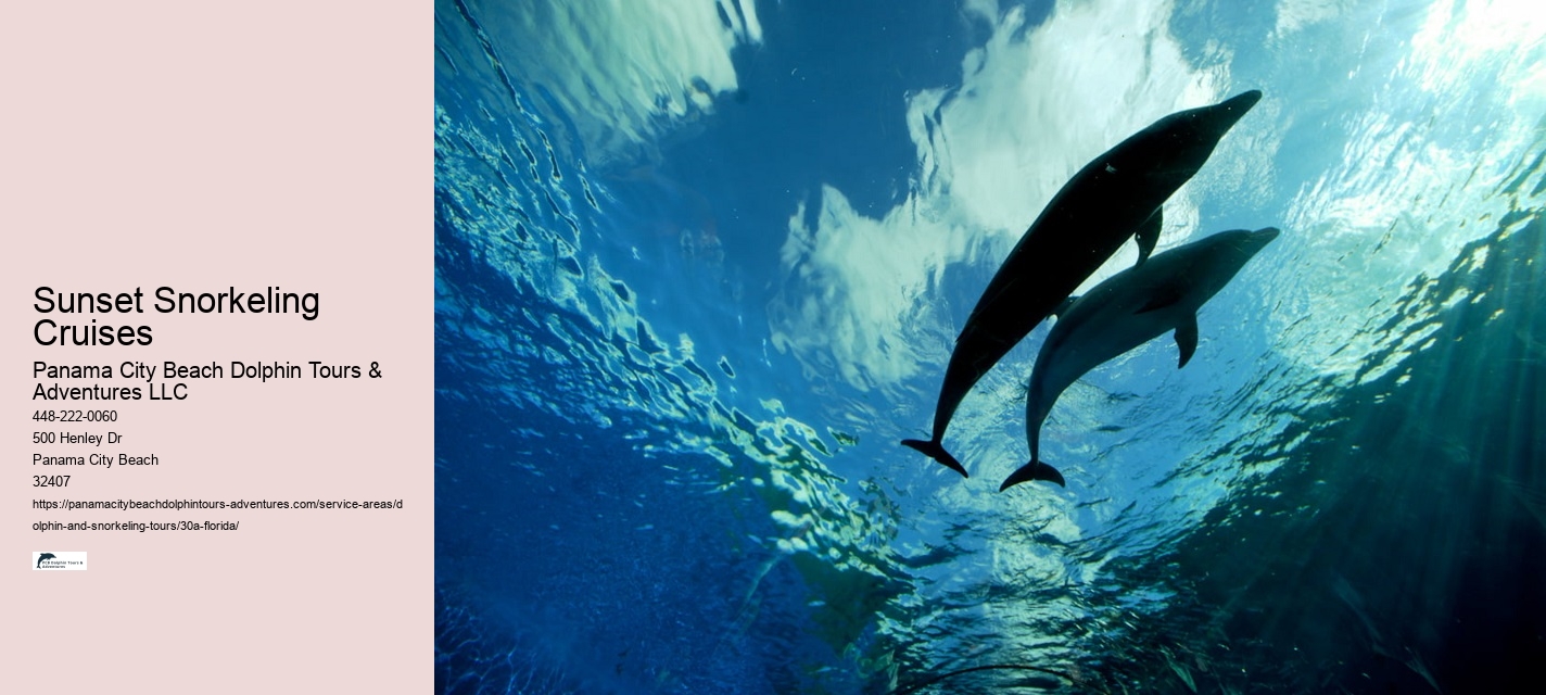 Dolphin Tour Boat For Sale