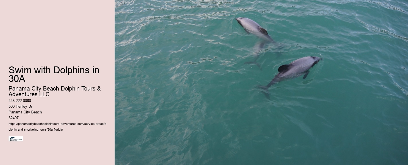 Scuba Diving Tours Seaside Florida
