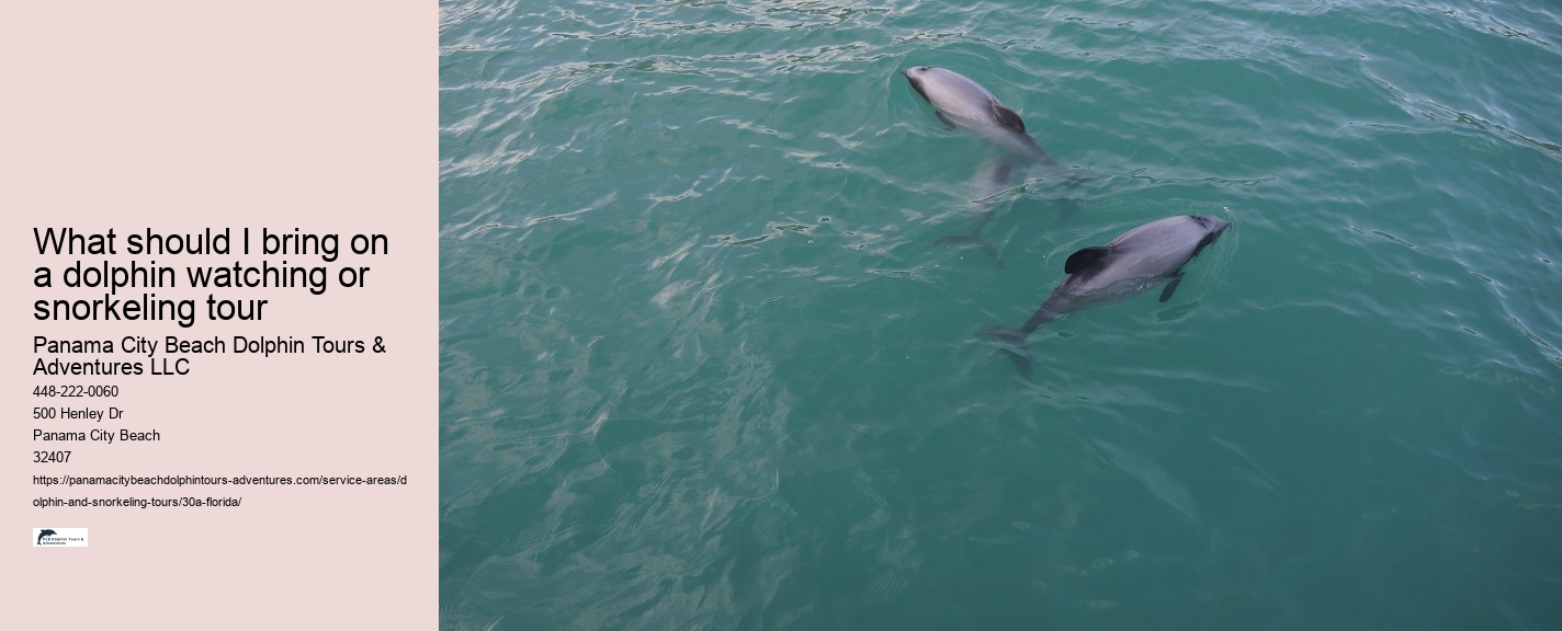 Dolphin Watching Near Me