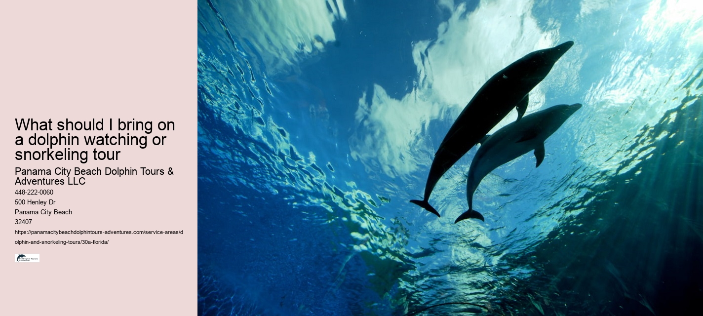 Dolphin.tours Near Me