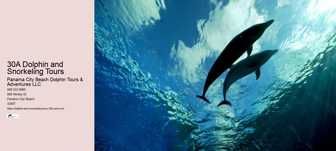 What do you wear to a dolphin encounter