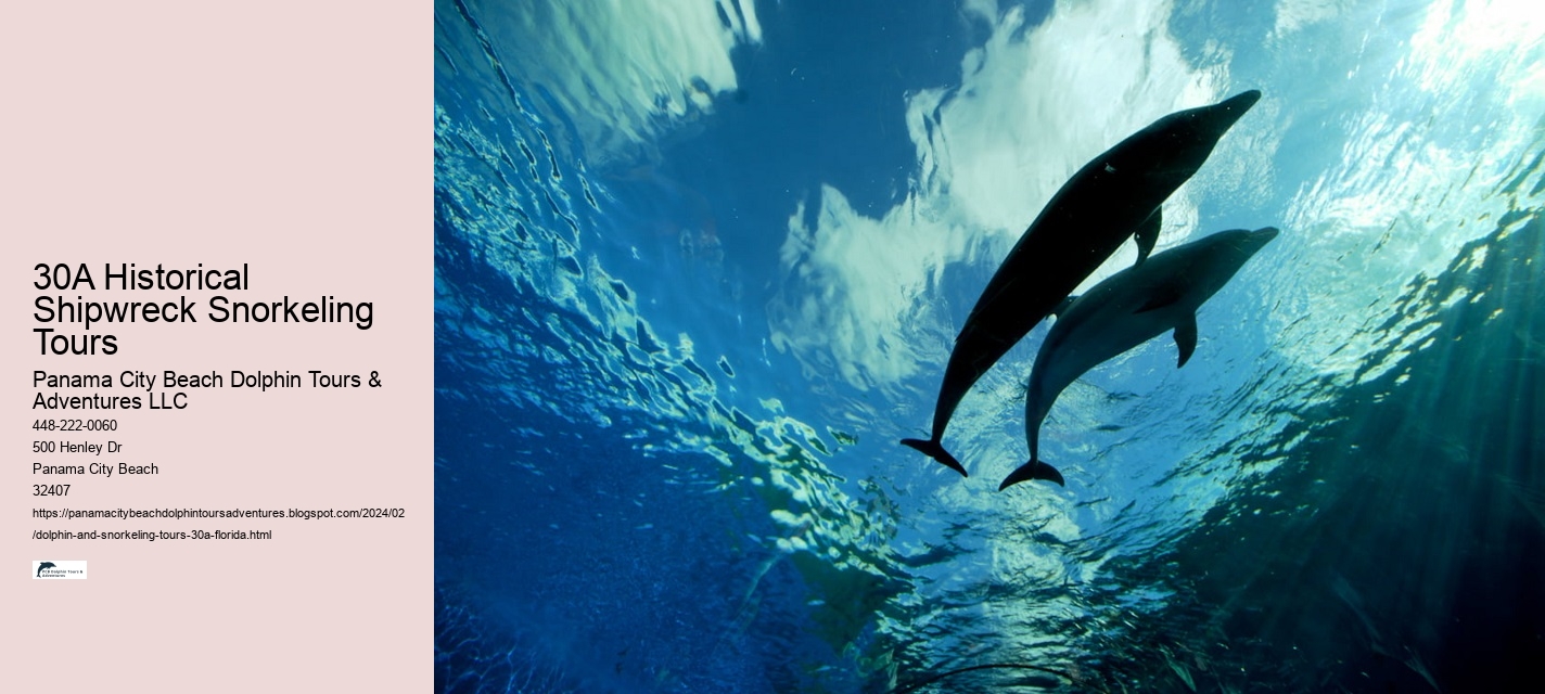 30A Historical Shipwreck Snorkeling Tours
