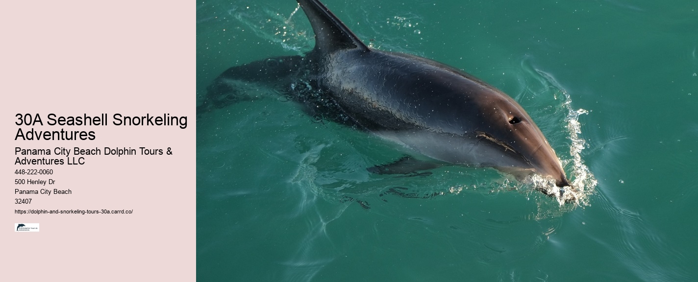 Blue Dolphin Tours