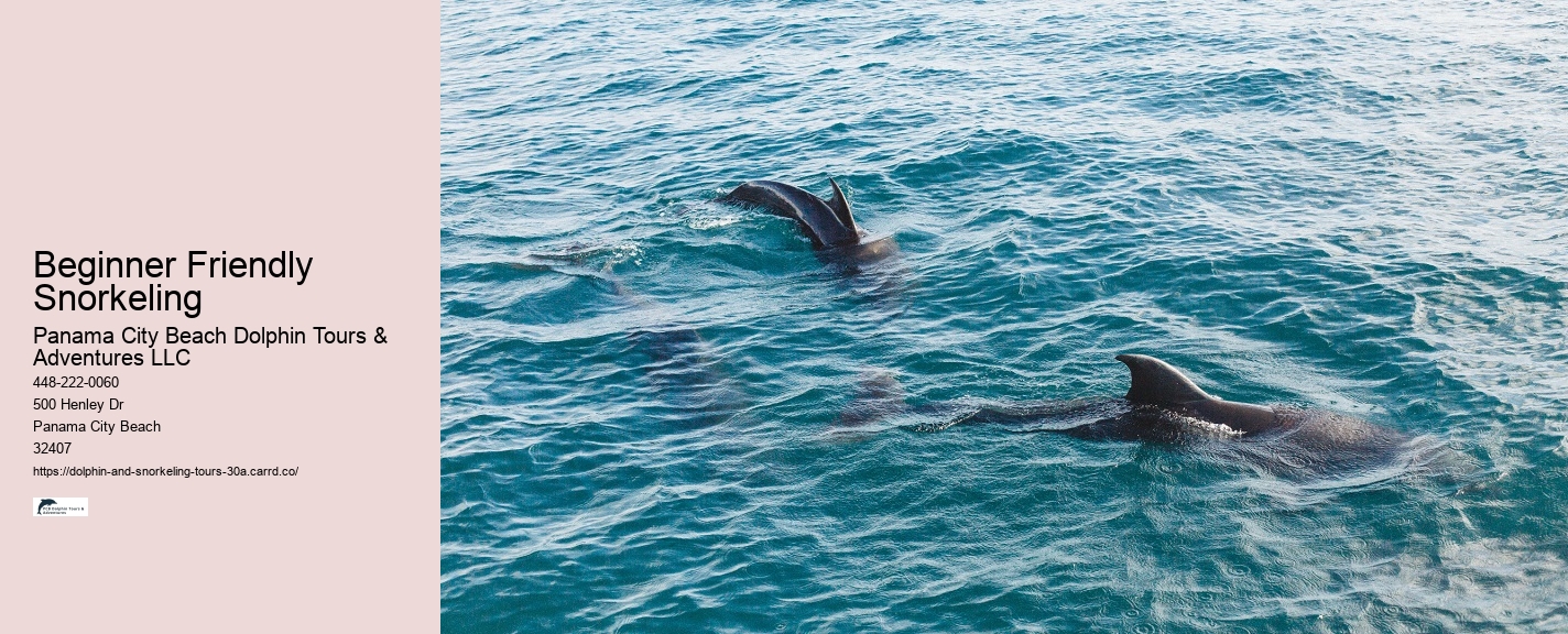 Swim with Dolphins in 30A