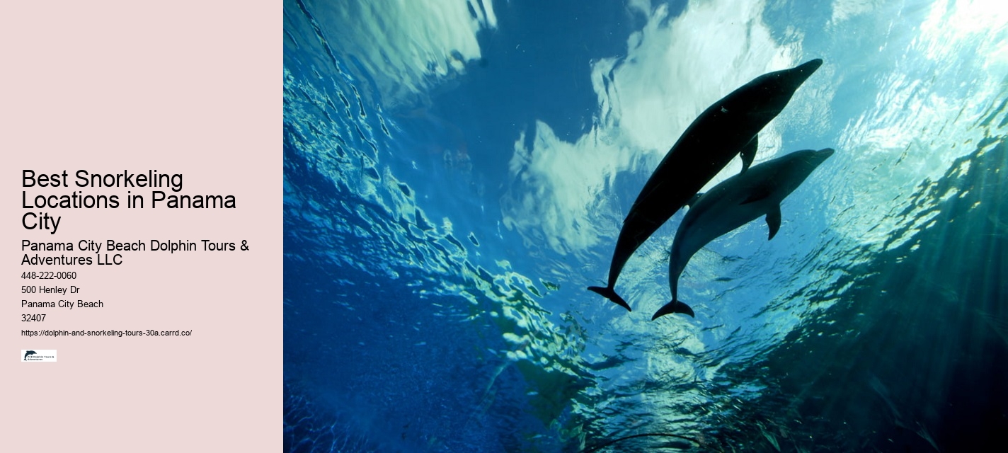 Best Snorkeling Locations in Panama City