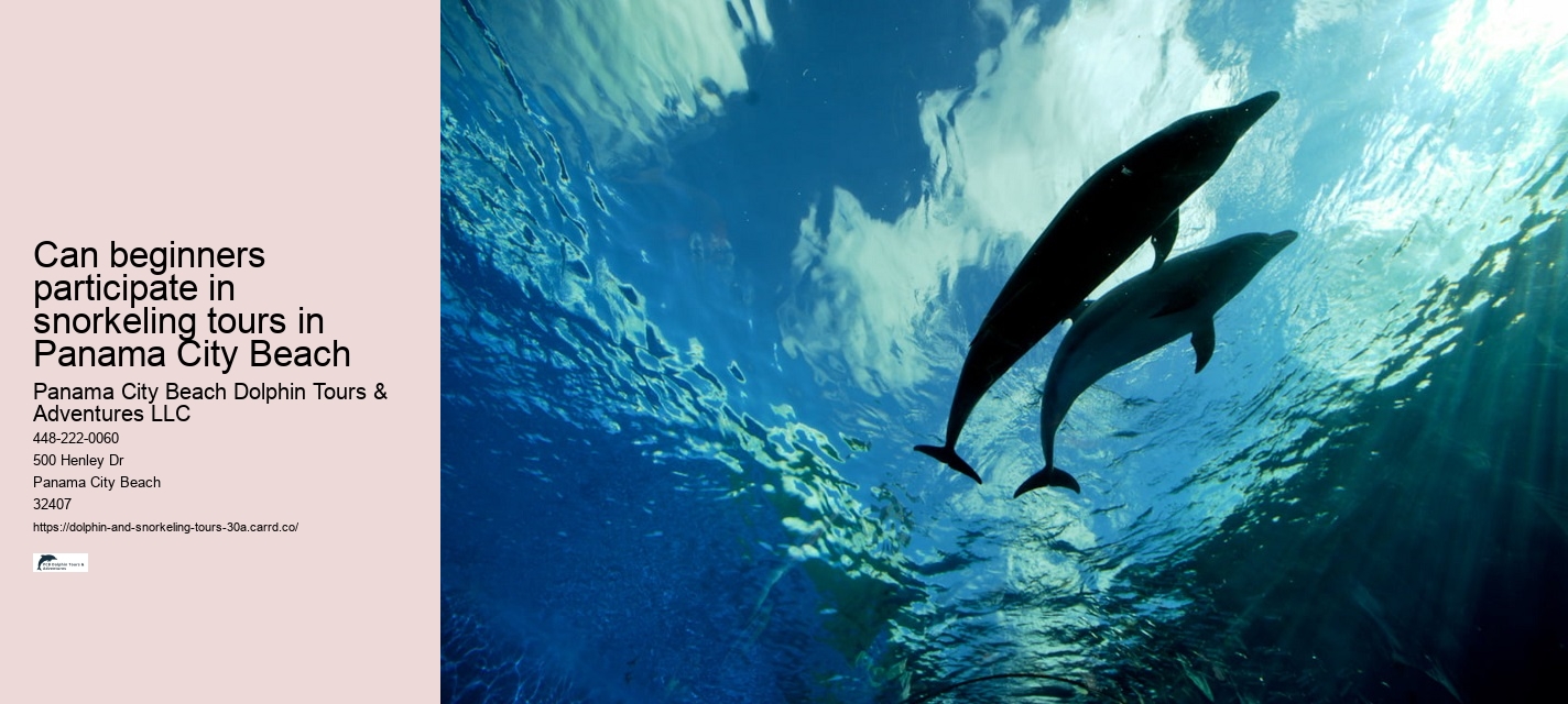 Can beginners participate in snorkeling tours in Panama City Beach