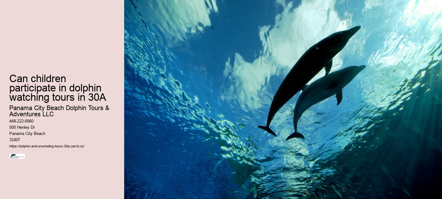 Dolphin and Snorkeling