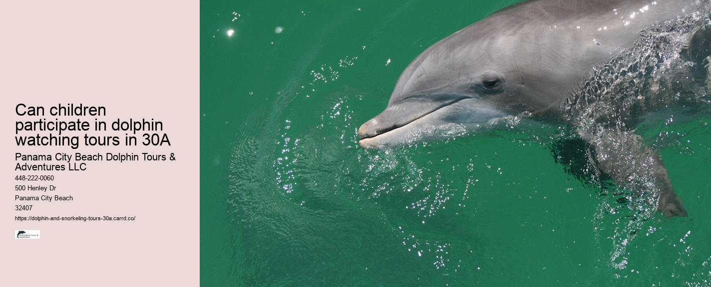 Salty Fins Dolphin and Snorkeling Tours