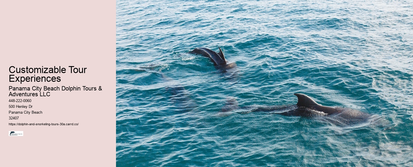 Dolphin Tour 30a