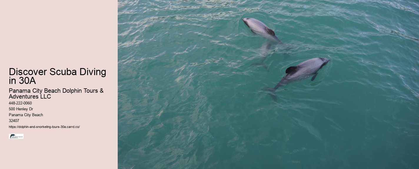 Glass Bottom Boat Dolphin Tour