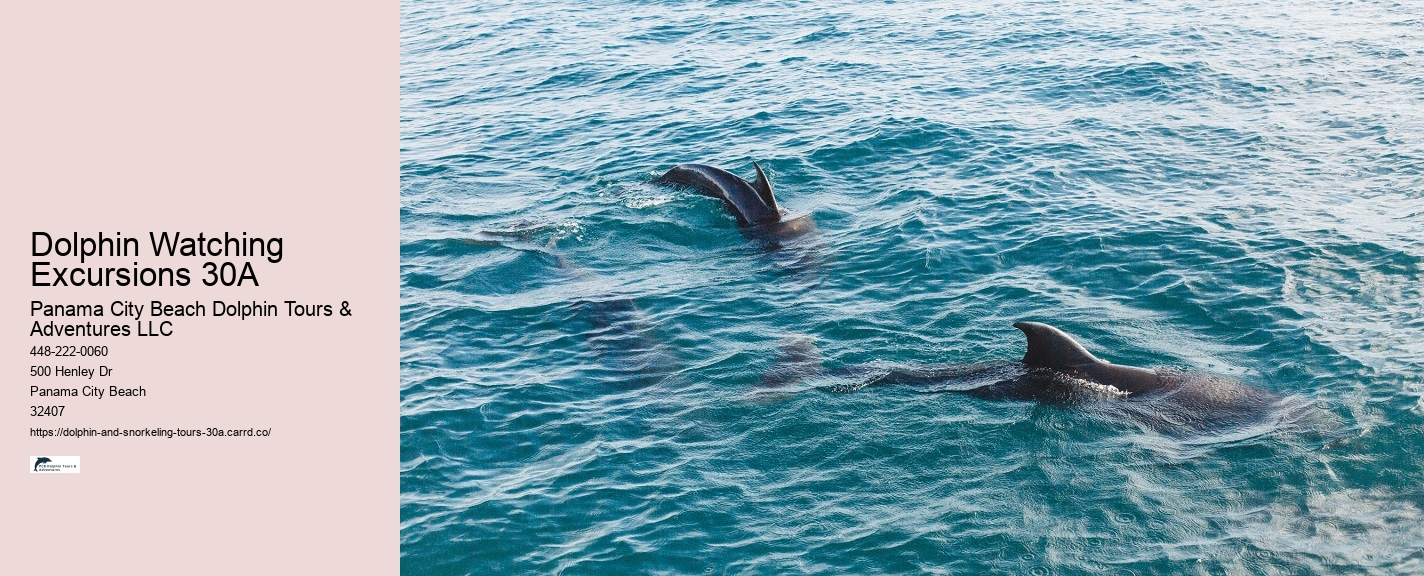 Snorkeling On 30a