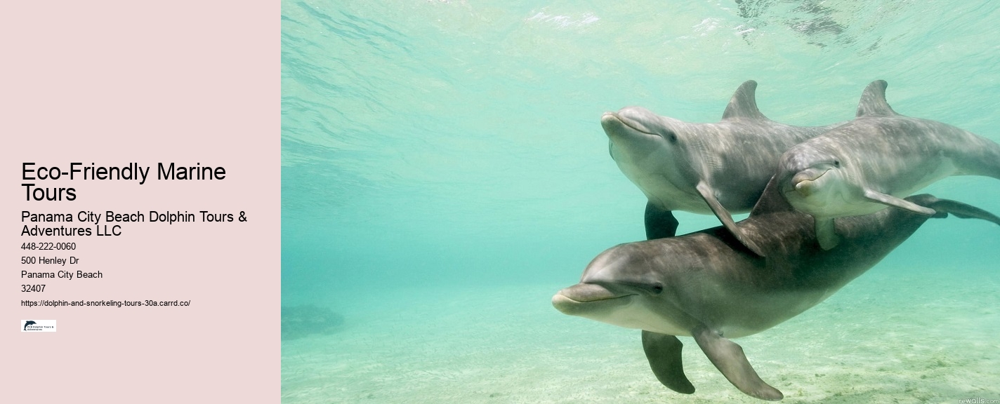 Eco-Friendly Marine Tours
