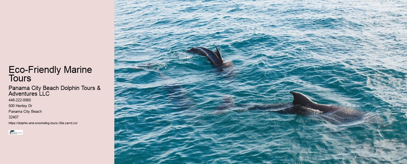 Snorkeling Tours Florida Keys