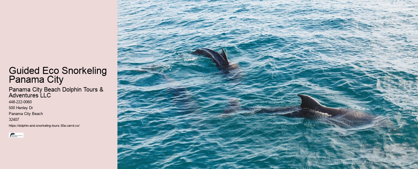 Snorkeling Tours 30a