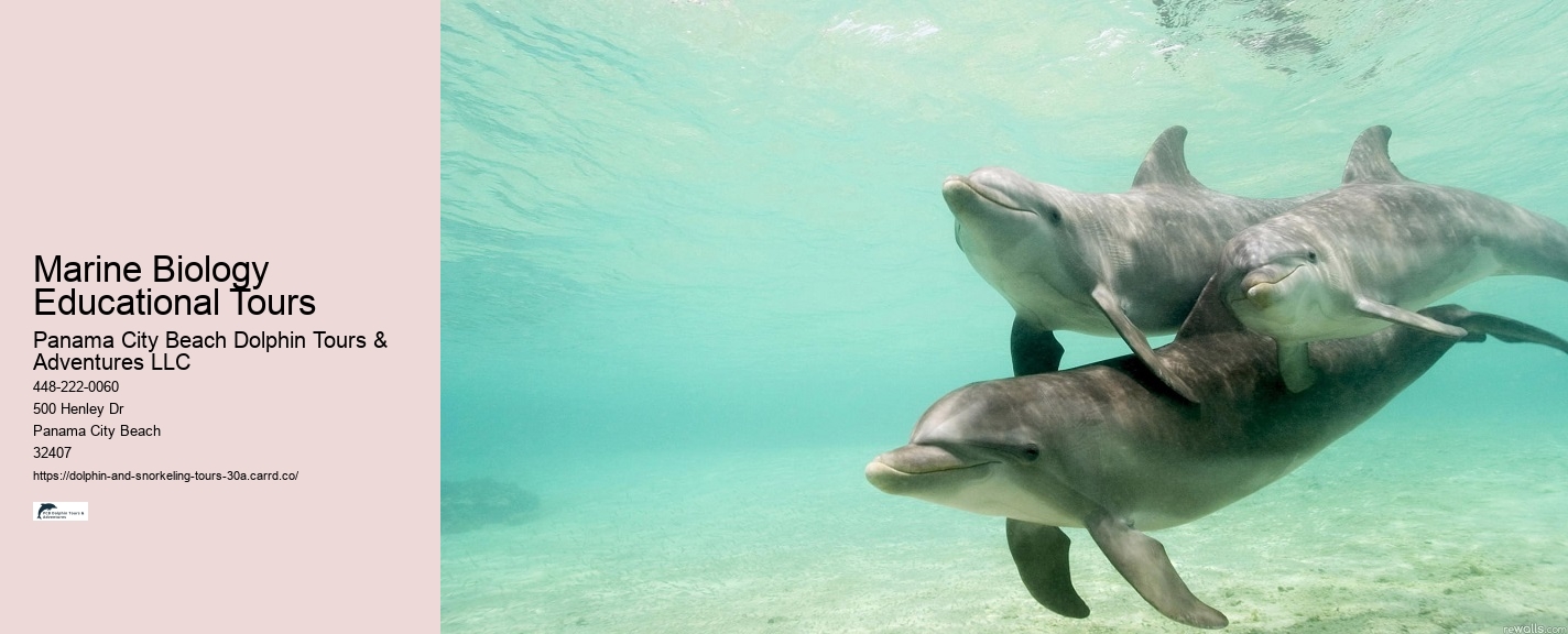 Marine Biology Educational Tours